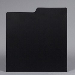 Black Plastic LP Record Divider Car
